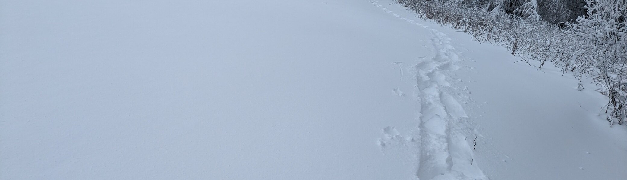 Schneeschuhwandern Rhön | © DAV Sektion Fulda